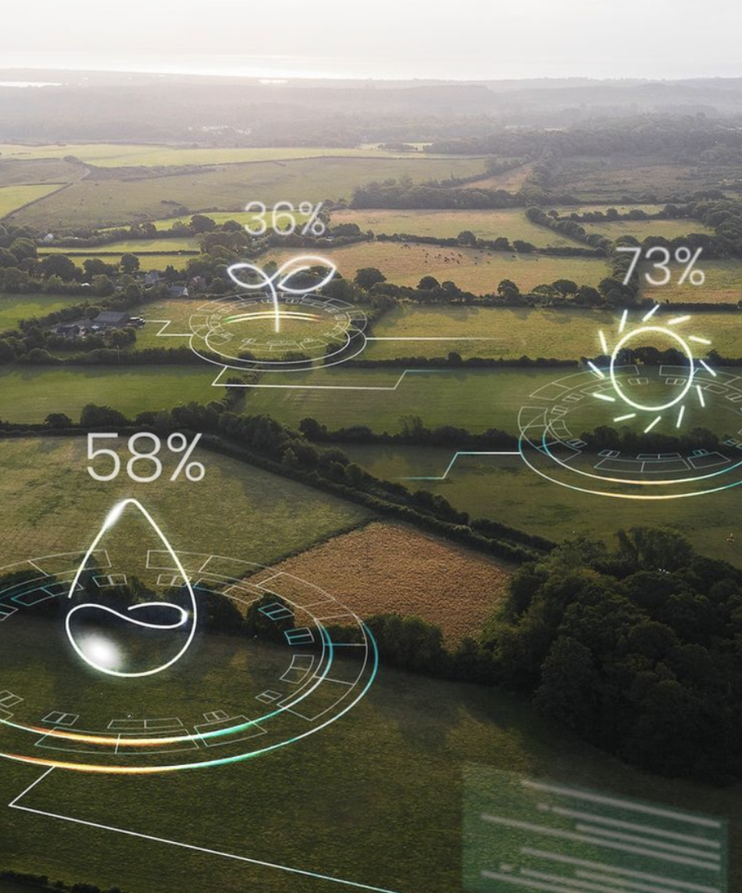 Tích Hợp Sâu, Liên Kết Liền Mạch